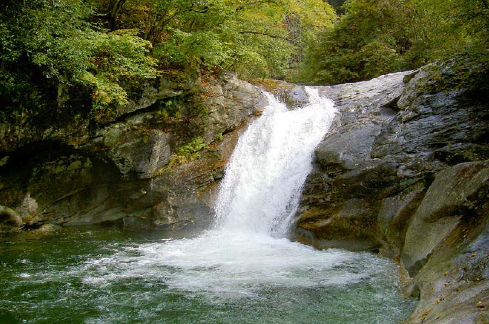 “一江清水供北京”的重要水源涵养地——陕西宁陕旬河源国家湿地公园